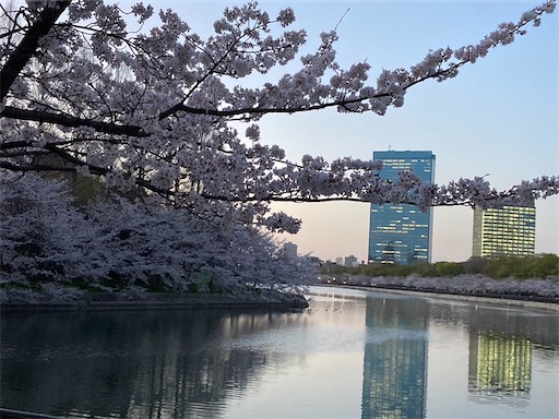 f:id:cellolife:20230402072000j:image f:id:cellolife:20230402072000j:image