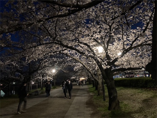 f:id:cellolife:20230402072034j:image f:id:cellolife:20230402072034j:image