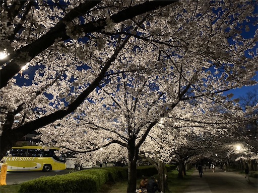 f:id:cellolife:20230402072051j:image f:id:cellolife:20230402072051j:image