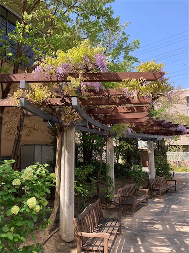 f:id:cellolife:20230410084714j:image