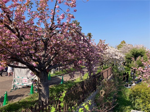 f:id:cellolife:20230410085211j:image