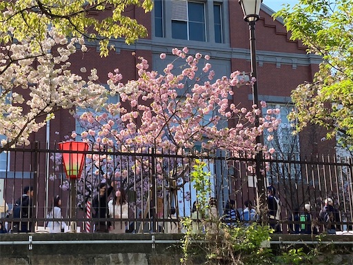 f:id:cellolife:20230410085220j:image