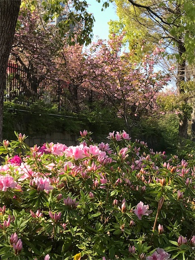 f:id:cellolife:20230410085226j:image