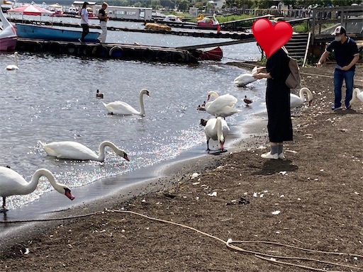 A2✨白龍と富士山 ✨ No. 10 虹の不死鳥No.5 【 宇治るぽさま専用】 2025-9-26 吉原vからの富士山 #mtfuji #fujisan #mtfujiphoto_ig