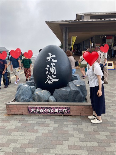 f:id:cellolife:20231102105337j:image