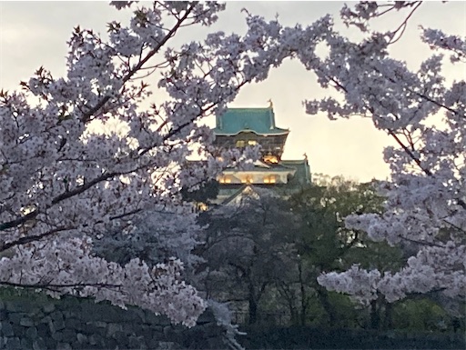 f:id:cellolife:20240418112332j:image