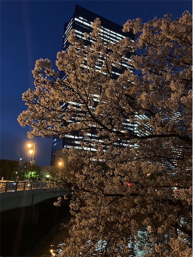 f:id:cellolife:20240418112341j:image