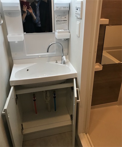 f:id:cellolife:20240429090256j:image