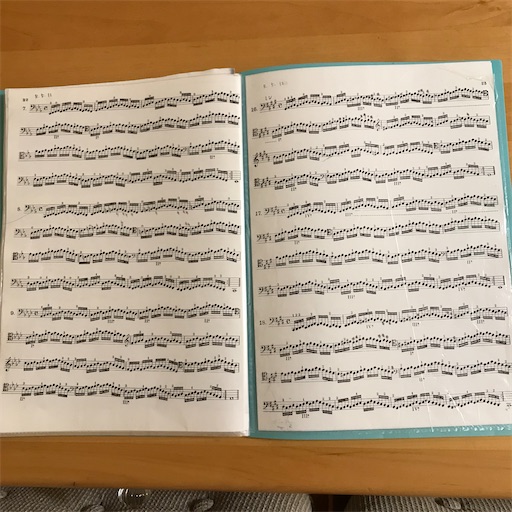 f:id:cellolife:20240801093036j:image f:id:cellolife:20240801093036j:image