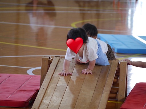 f:id:cellolife:20241027144136j:image f:id:cellolife:20241027144136j:image