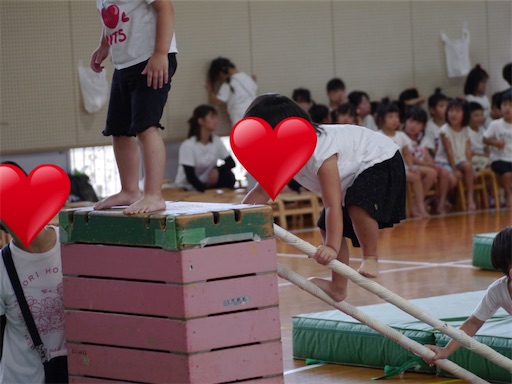 f:id:cellolife:20241027144139j:image f:id:cellolife:20241027144139j:image