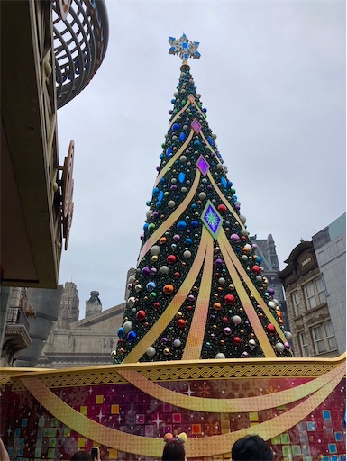 f:id:cellolife:20241127080525j:image f:id:cellolife:20241127080525j:image