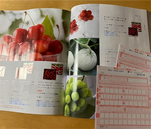 f:id:cellolife:20250308223839j:image