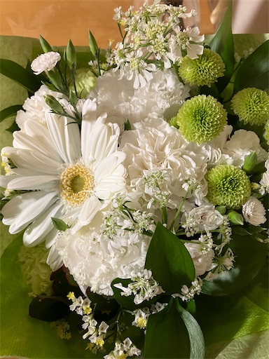 f:id:cellolife:20250522083323j:image