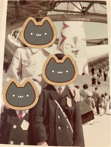 f:id:cellolife:20250522083749j:image