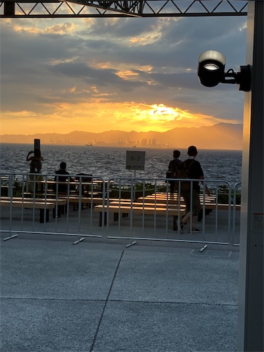 f:id:cellolife:20250806080003j:image