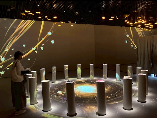 f:id:cellolife:20250806082759j:image