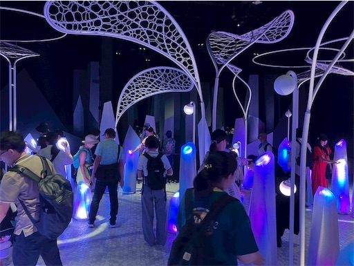 f:id:cellolife:20250806091635j:image