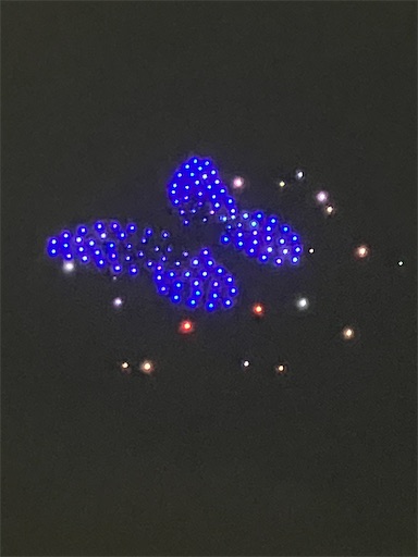 f:id:cellolife:20250806091711j:image