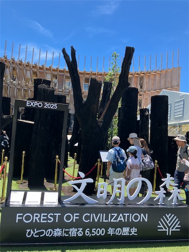 f:id:cellolife:20250806093231j:image