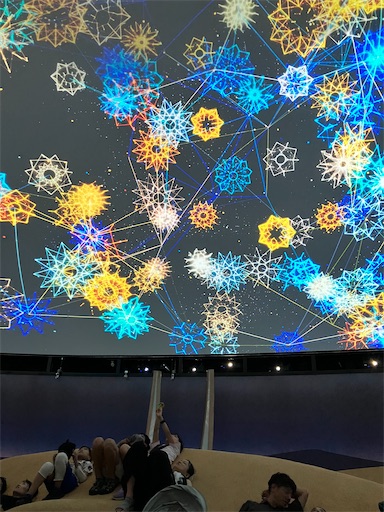 f:id:cellolife:20250806093253j:image