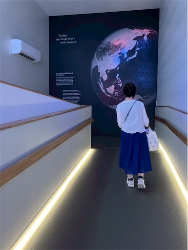 f:id:cellolife:20250806094245j:image