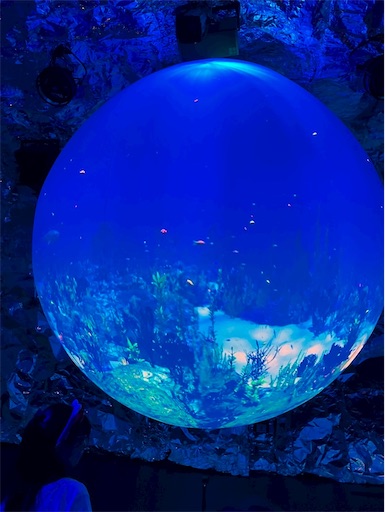 f:id:cellolife:20250806094251j:image