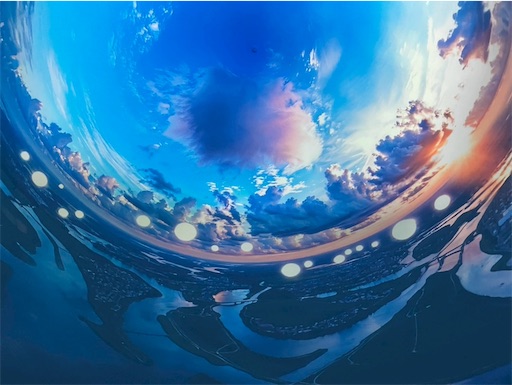 f:id:cellolife:20250806094333j:image