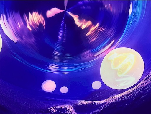 f:id:cellolife:20250806094400j:image