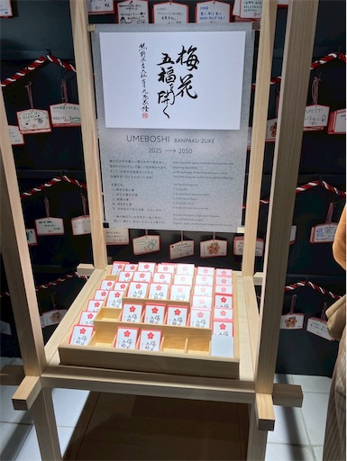 f:id:cellolife:20250806094710j:image