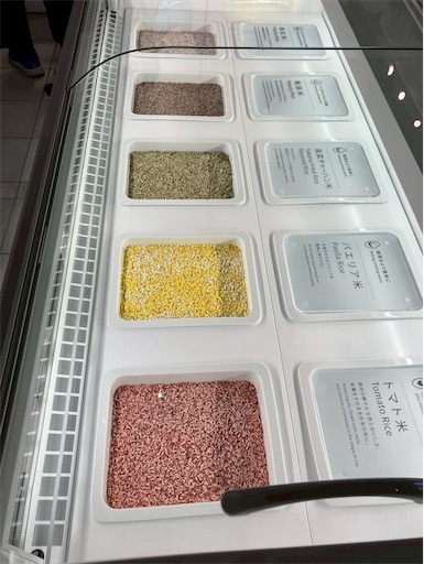 f:id:cellolife:20250806094752j:image