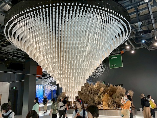 f:id:cellolife:20250806094757j:image