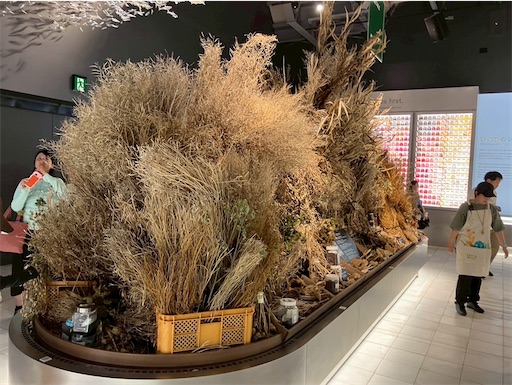 f:id:cellolife:20250806094824j:image