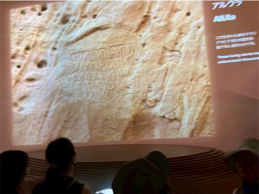 f:id:cellolife:20250806100816j:image