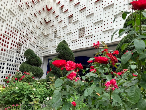 f:id:cellolife:20250812210036j:image