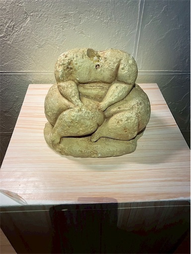 f:id:cellolife:20250812210511j:image