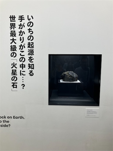 f:id:cellolife:20250812211301j:image