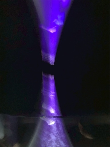 f:id:cellolife:20250812211317j:image