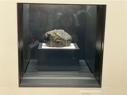 f:id:cellolife:20250812211326j:image