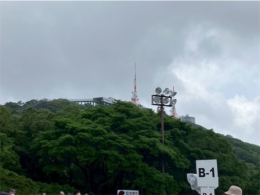 f:id:cellolife:20250812213922j:image