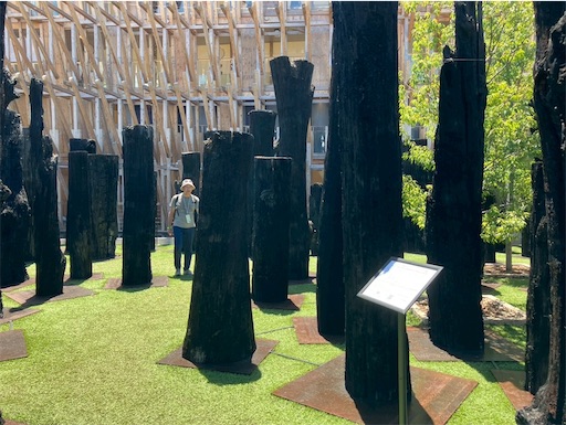 f:id:cellolife:20250907095237j:image