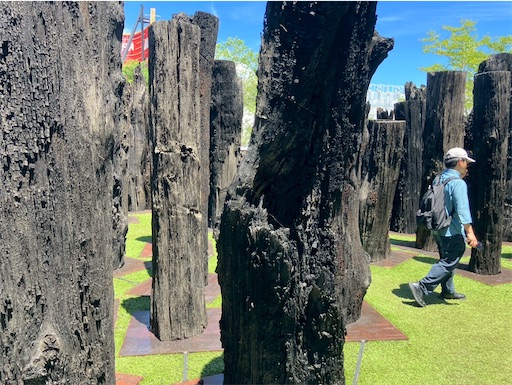 f:id:cellolife:20250907095240j:image