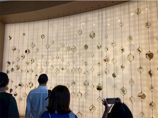 f:id:cellolife:20250915160415j:image