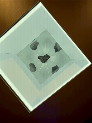 f:id:cellolife:20250915160443j:image