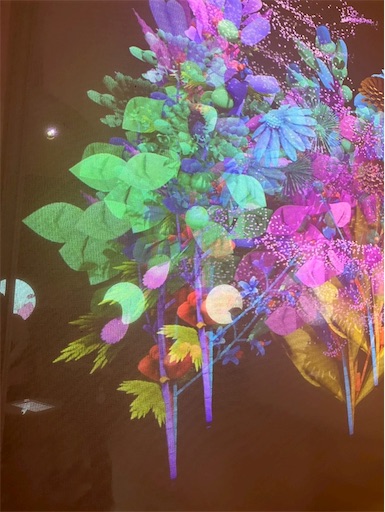 f:id:cellolife:20250915160504j:image