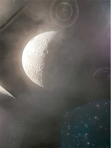 f:id:cellolife:20250915160515j:image