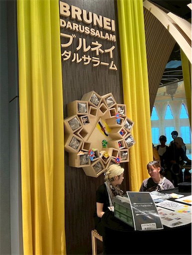 f:id:cellolife:20250915220344j:image