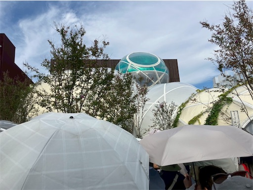 f:id:cellolife:20250915221155j:image