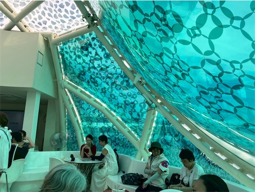 f:id:cellolife:20250915221230j:image