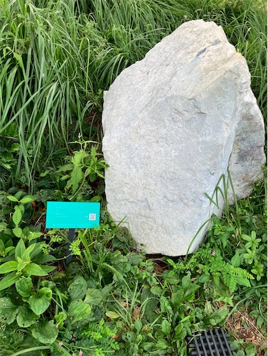 f:id:cellolife:20250915221246j:image